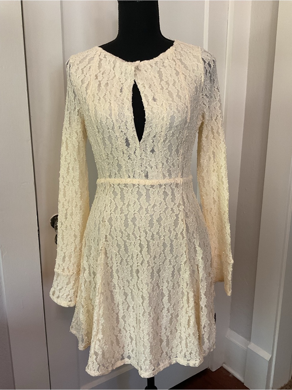 NWT Free People lace dress Shearling